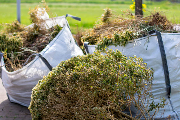 Basement Cleanout Services in Cortland, OH